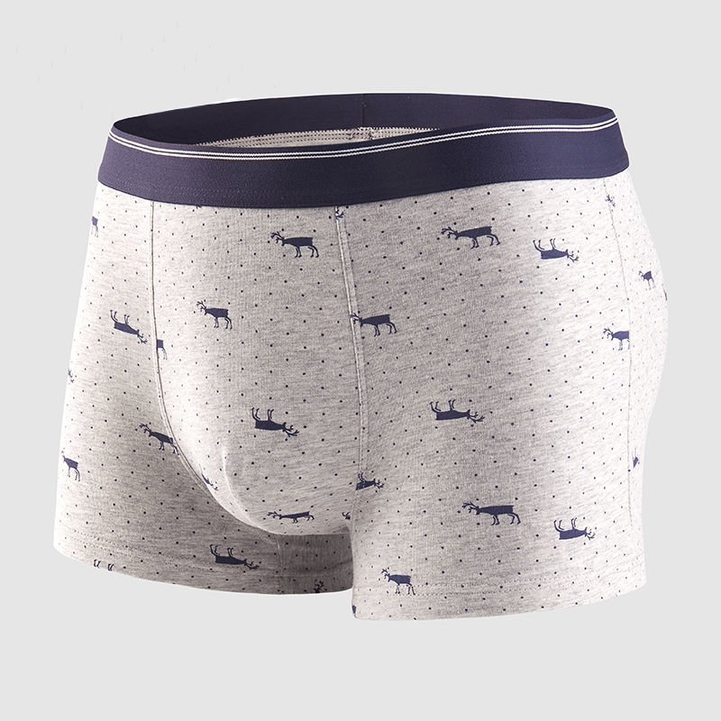 4 قطعة/الوحدة الملاكم السراويل - مراجعة Boxer Shorts Modal وسعره